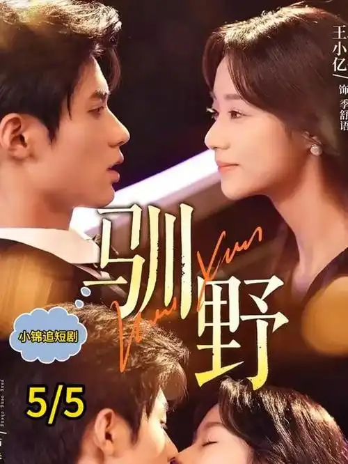 山海食记 治愈系电视剧手机免费在线观看